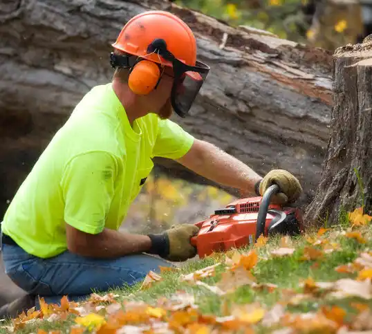 tree services Shreveport